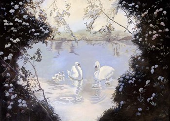 Swan Lake by Judy Mastrangelo art print
