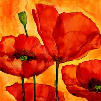 Coquelicots I by Giuseppina Tartagni art print