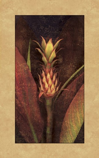 Pineapple by John Seba art print