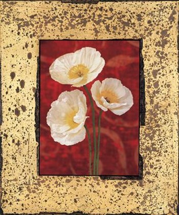 Poppies by John Seba art print