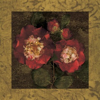 Red Camellias II by John Seba art print