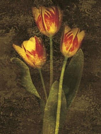 Three Tulips by John Seba art print