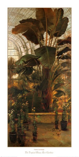 Tropical House, Kew Gardens by Thomas Greenhalgh art print