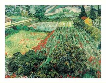 Field of Poppies, St.Remy by Vincent Van Gogh art print