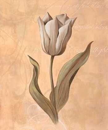 Tulip by Virginia Huntington art print