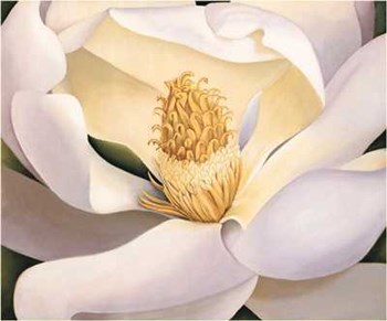 Virginia Huntington - Magnolia Size 23.75x19.75 by Virginia Huntington art print