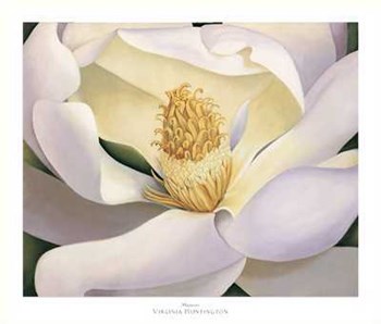 Virginia Huntington - Magnolia Size 39.75x34 by Virginia Huntington art print