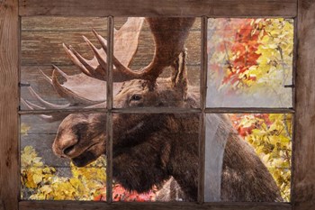 There&#39;s a Moose at the Window by Ramona Murdock art print