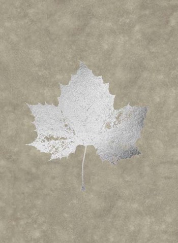 Silver Foil Leaf II on Lichen Wash by Jennifer Goldberger art print