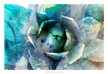 Agave Abstract I by Sisa Jasper art print