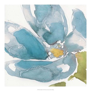 Flower Splash I by Jennifer Goldberger art print