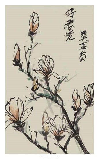 Mandarin Magnolia I by Melissa Wang art print
