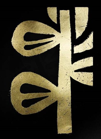 Gold Foil Symbiotic V on Black by June Erica Vess art print