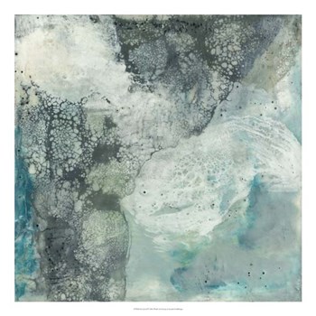 Sea Lace II by Jennifer Goldberger art print