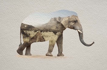 African Elephant Erongo Namibia by Color Me Happy art print