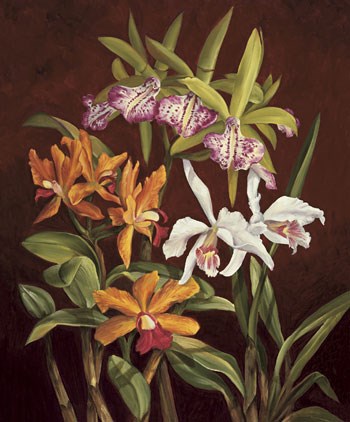 Orchid Trio II by Rodolfo Jimenez art print