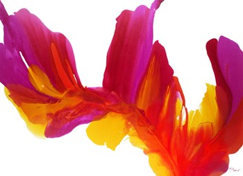 Sunset by Aleta Pippin art print