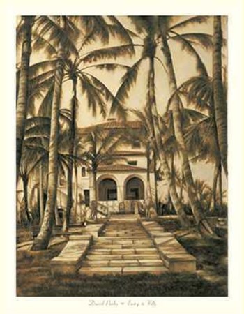 David Parks - Entry to Villa Size 27.5x35.5 by David Parks art print