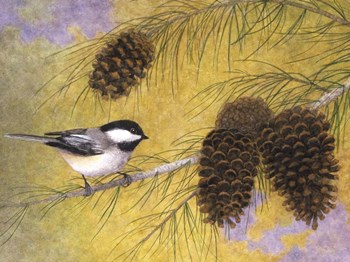 Chickadee in the Pines I by Marcia Matcham art print