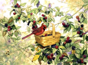 Berry Picker by Marcia Matcham art print