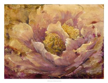 Floral in Bloom I by Timothy O&#39;Toole art print