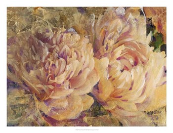 Floral in Bloom III by Timothy O&#39;Toole art print