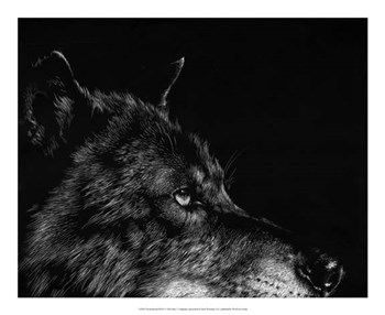 Scratchboard Wolf I by Julie Chapman art print