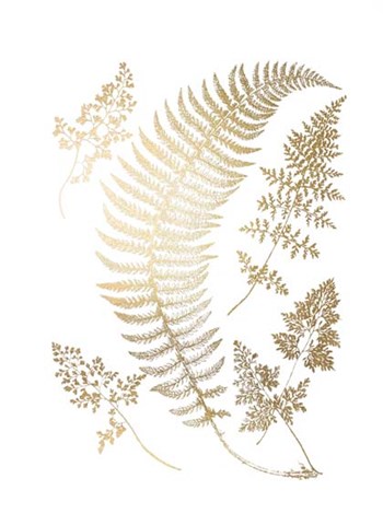 Gold Foil Ferns IV by Vision Studio art print
