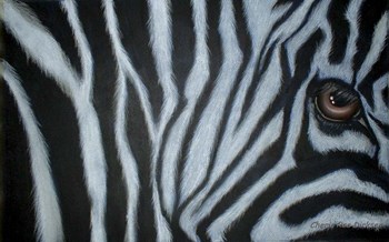 Zebra Eye by Cherie Roe Dirksen art print