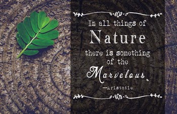 In all things of Nature by Quote Master art print