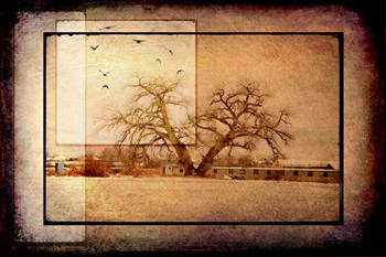 For the Love of Trees V by LightBoxJournal art print