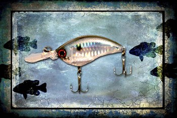 Fishing - Big Mouth Lure by LightBoxJournal art print