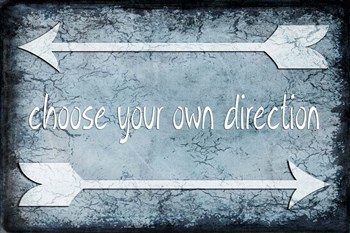 Choose Direction by LightBoxJournal art print