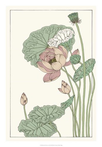 Botanical Gloriosa Lotus II by Melissa Wang art print