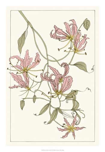 Botanical Gloriosa Lily II by Melissa Wang art print