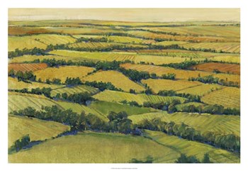 A View Above I by Timothy O&#39;Toole art print