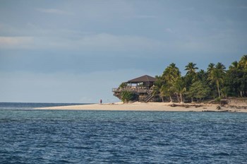 Beachcomber Island, Mamanucas, Fiji, South Pacific by Michael Runkel / DanitaDelimont art print