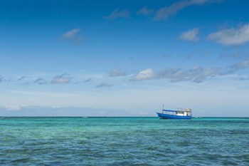 Fishing boat in the turquoise waters of the blue lagoon, Yasawa, Fiji, South Pacific by Michael Runkel / DanitaDelimont art print