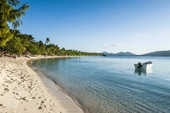White sand beach, Oarsman Bay, Yasawa, Fiji, South Pacific by Michael Runkel / DanitaDelimont art print