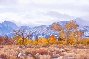High Desert Vista IV by Ramona Murdock art print