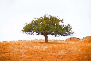 Lone Tree by Ramona Murdock art print