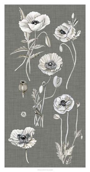 Poppy Array I by Naomi McCavitt art print