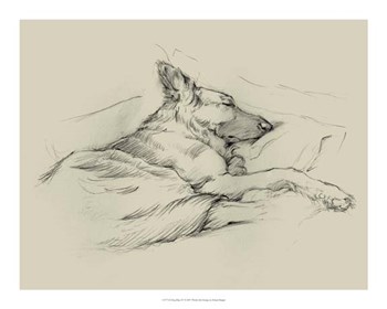 Dog Days IV by Ethan Harper art print
