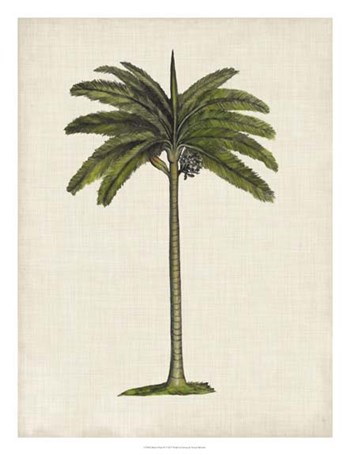 British Palms IV by Naomi McCavitt art print