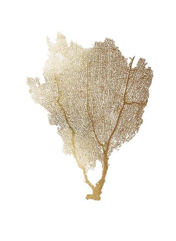 Gold Foil Sea Fan I by Vision Studio art print