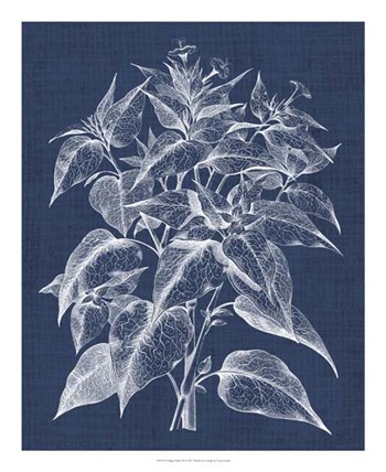 Foliage Chintz III by Vision Studio art print
