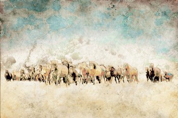 Roaming Horses by Ynon Mabat art print