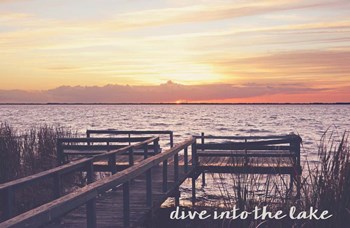 Dive Into The Lake by Bruce Nawrocke art print