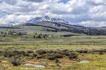 Electric Peak by Galloimages Online art print