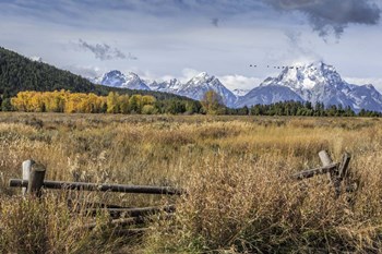 GTNP Scene Mt. Moran by Galloimages Online art print